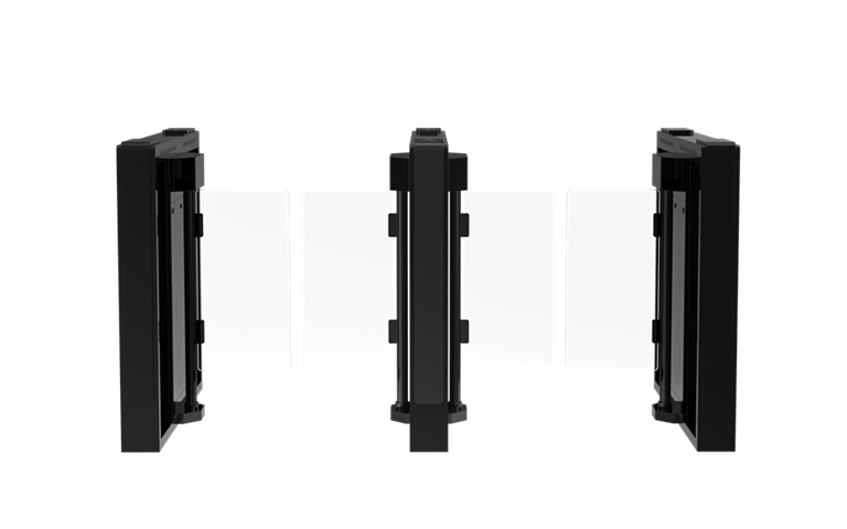 DS-Q20 Swing Gate Black